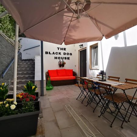 The Black Dog House Valenzano Kültér fotó